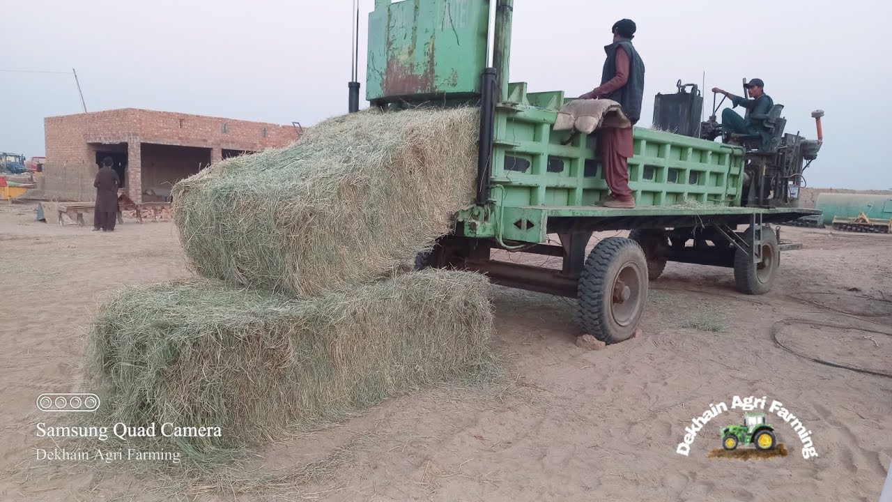 Double press bailing | Rhodes Grass Hay rebailing |Heavy weight bales