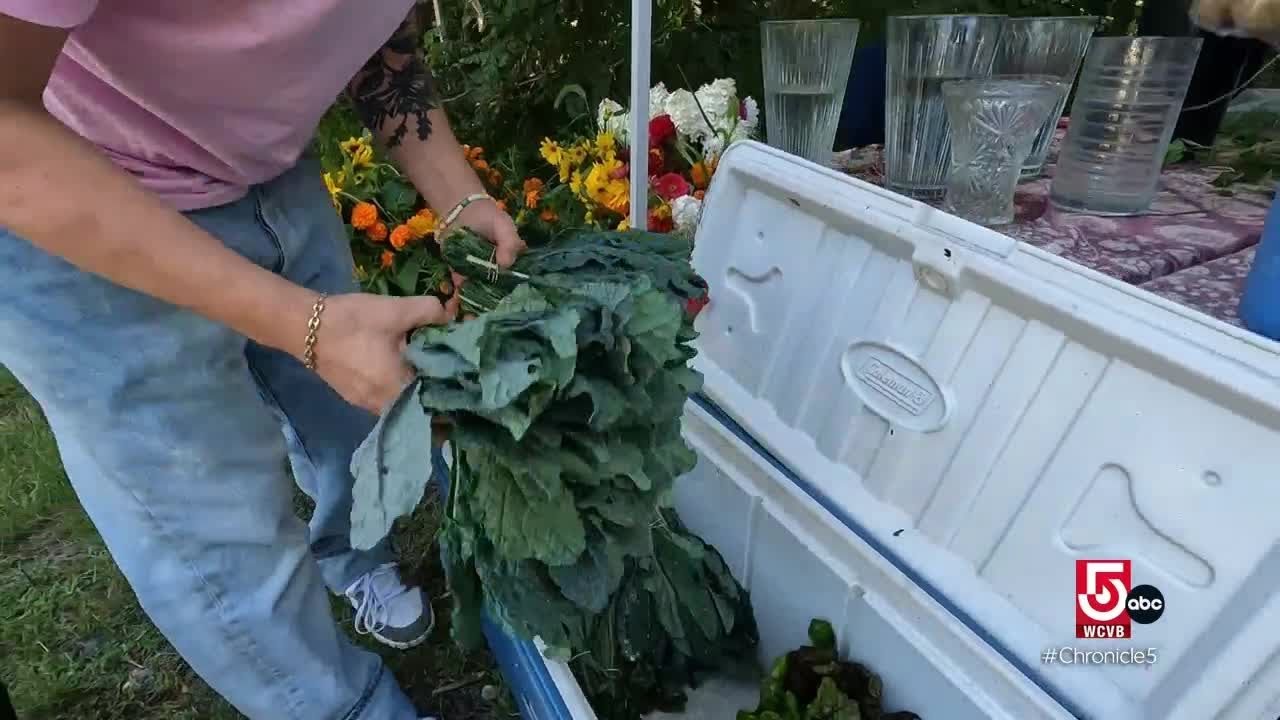 Wellfleet restaurant creates dinner menu with local ingredients