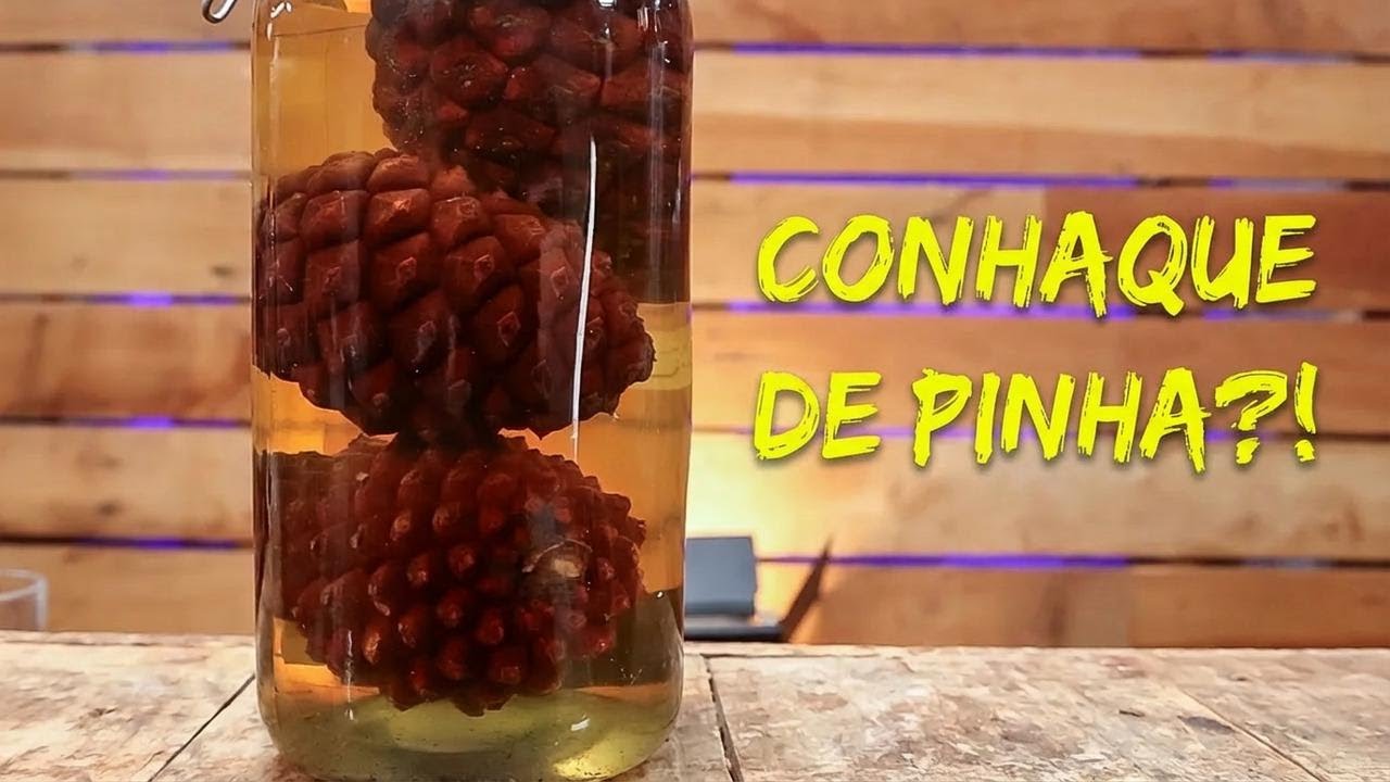 Esse experimento de destilação com pinha me surpreendeu!