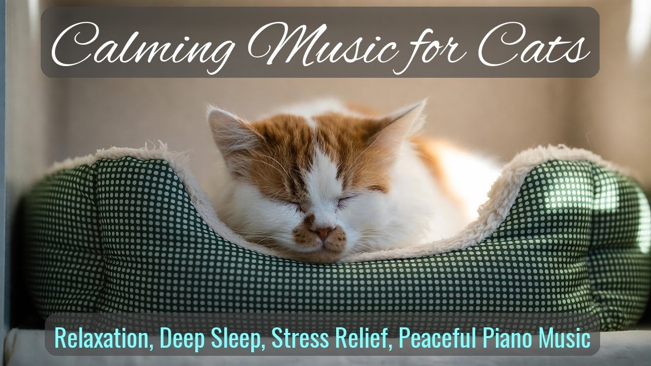 Calming Music for Cats - Relaxation, Deep Sleep, Stress Relief, Peaceful Piano Music | Season 78