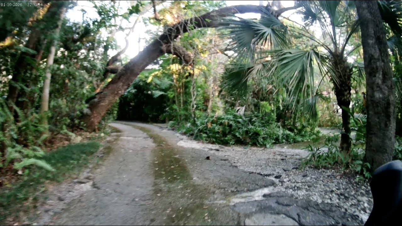 Relaxing Bike Ride Through Miami | No Talking • POV • Sleep Video