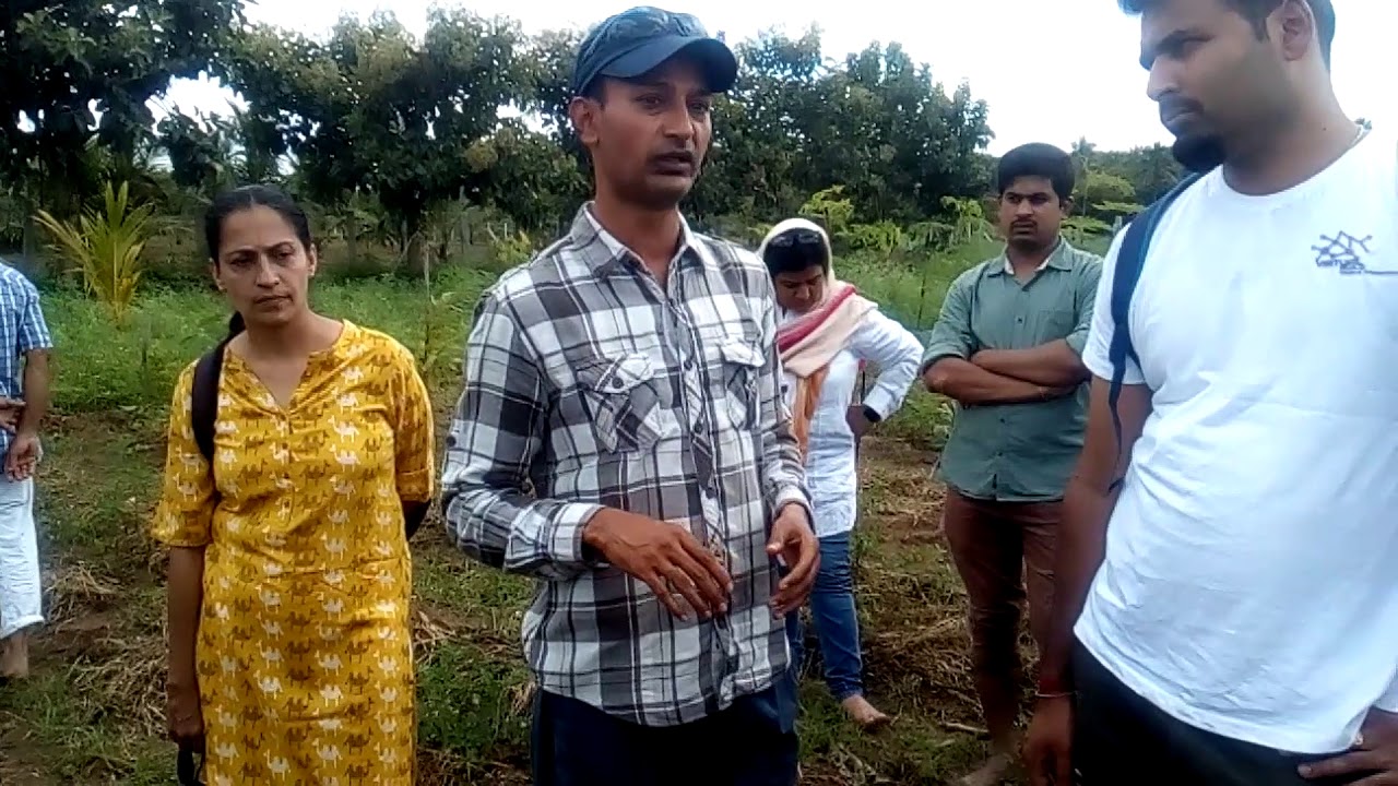 Anils 5 layer Fruit Orchid Natural Farming-Part 4