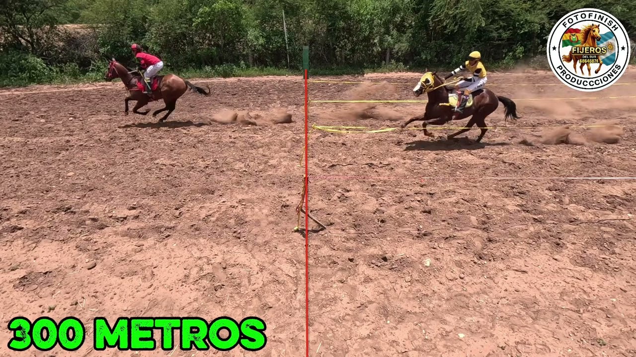 INTOXICADO VS PETISO 
