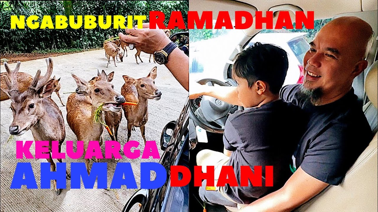 NGABUBURIT RAMADHAN KELUARGA AHMAD DHANI DI TAMAN SAFARI
