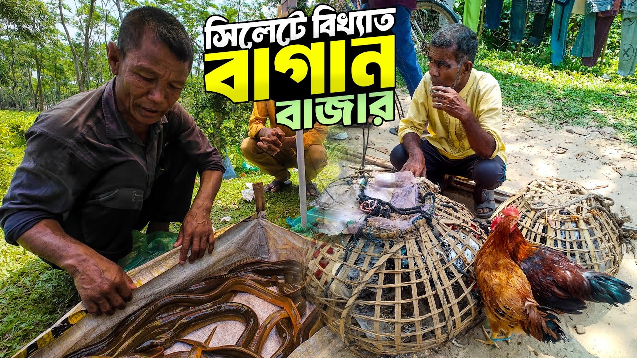 সিলেটে ব্রিটিশ আমলের এতিহ্যবাহী রবিবারি বাজার || Robibari Bazar Sylhet || বাগান বাজার সিলেট