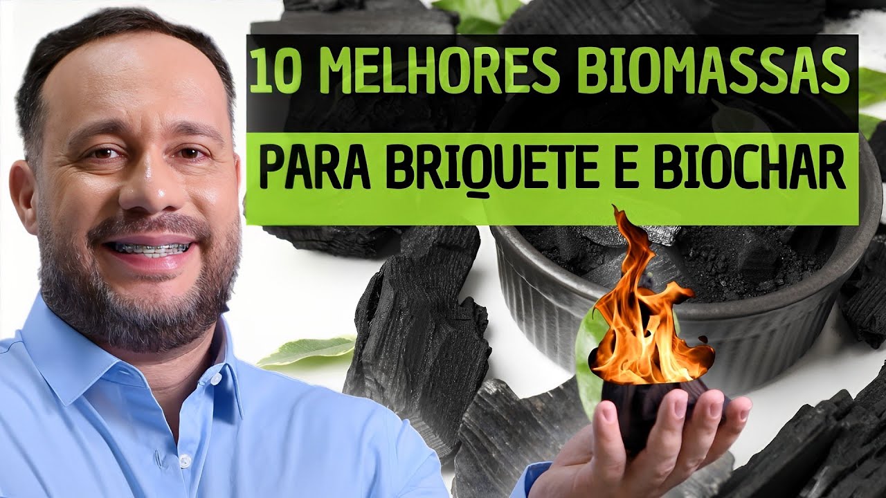 Aposta Certa: Conheça as 10 Melhores Biomassas para Briquetes de Carvão e Biochar e Se Destaque