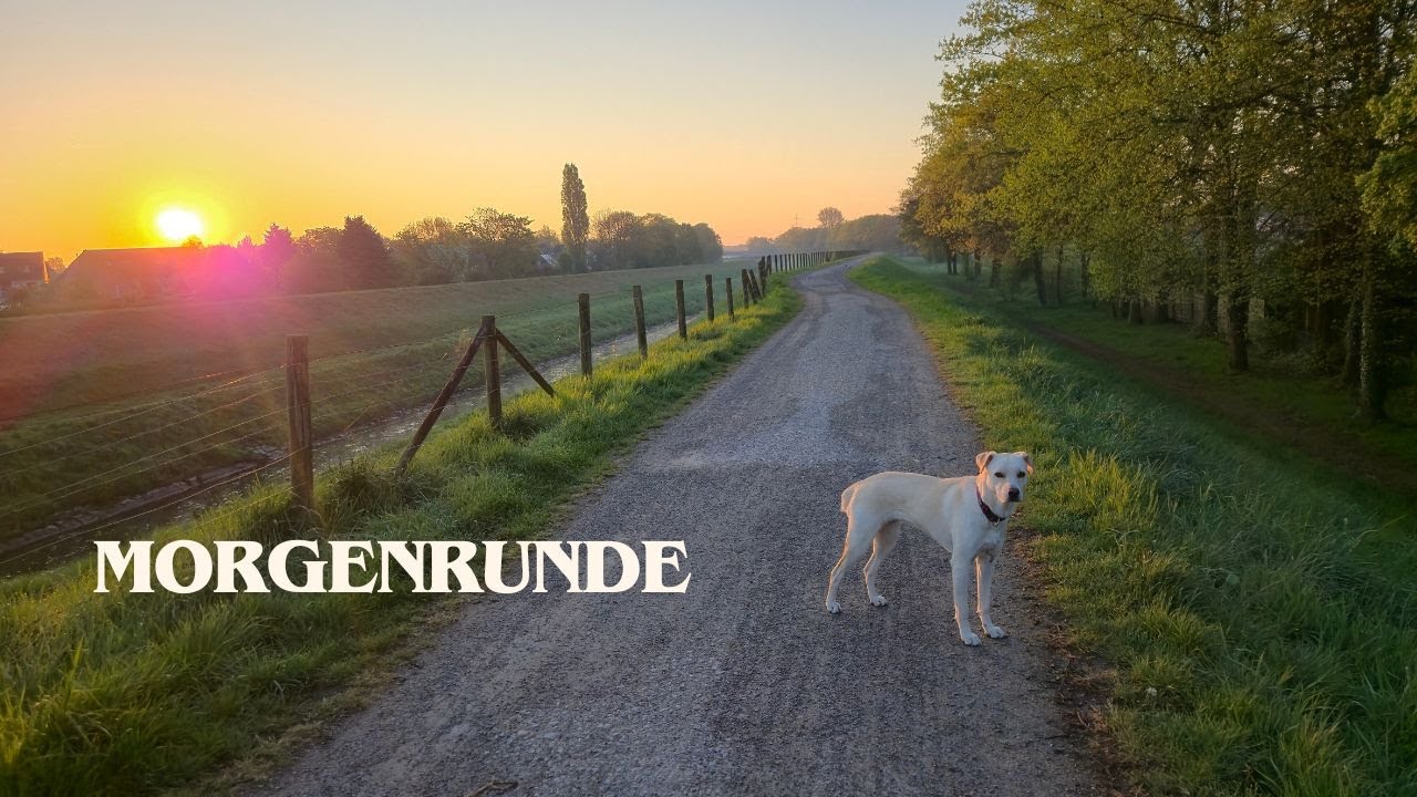 Morgenrunde