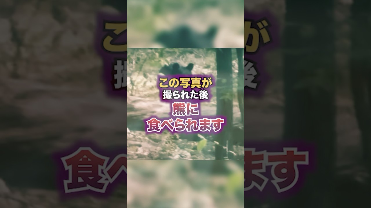この写真が撮られた後にクマに食べられます