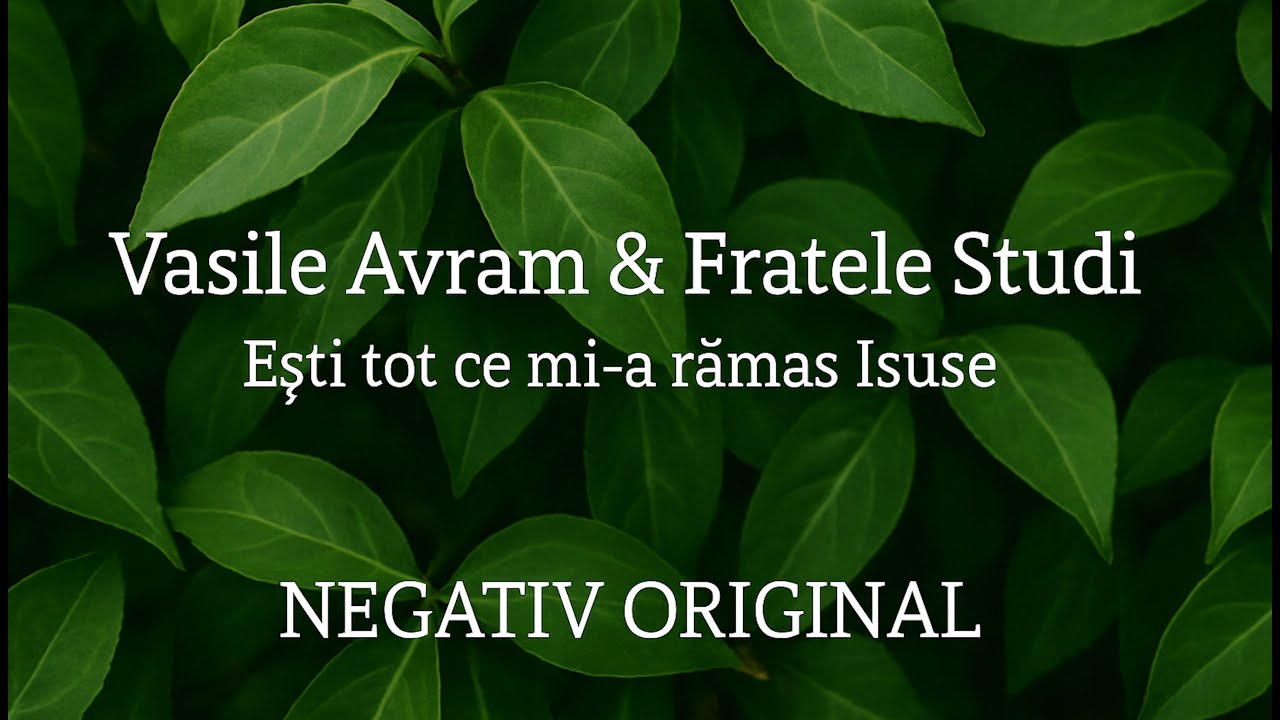 Negativ - Esti Tot Ce Mi-a Ramas Isuse ( Vasile Avram )