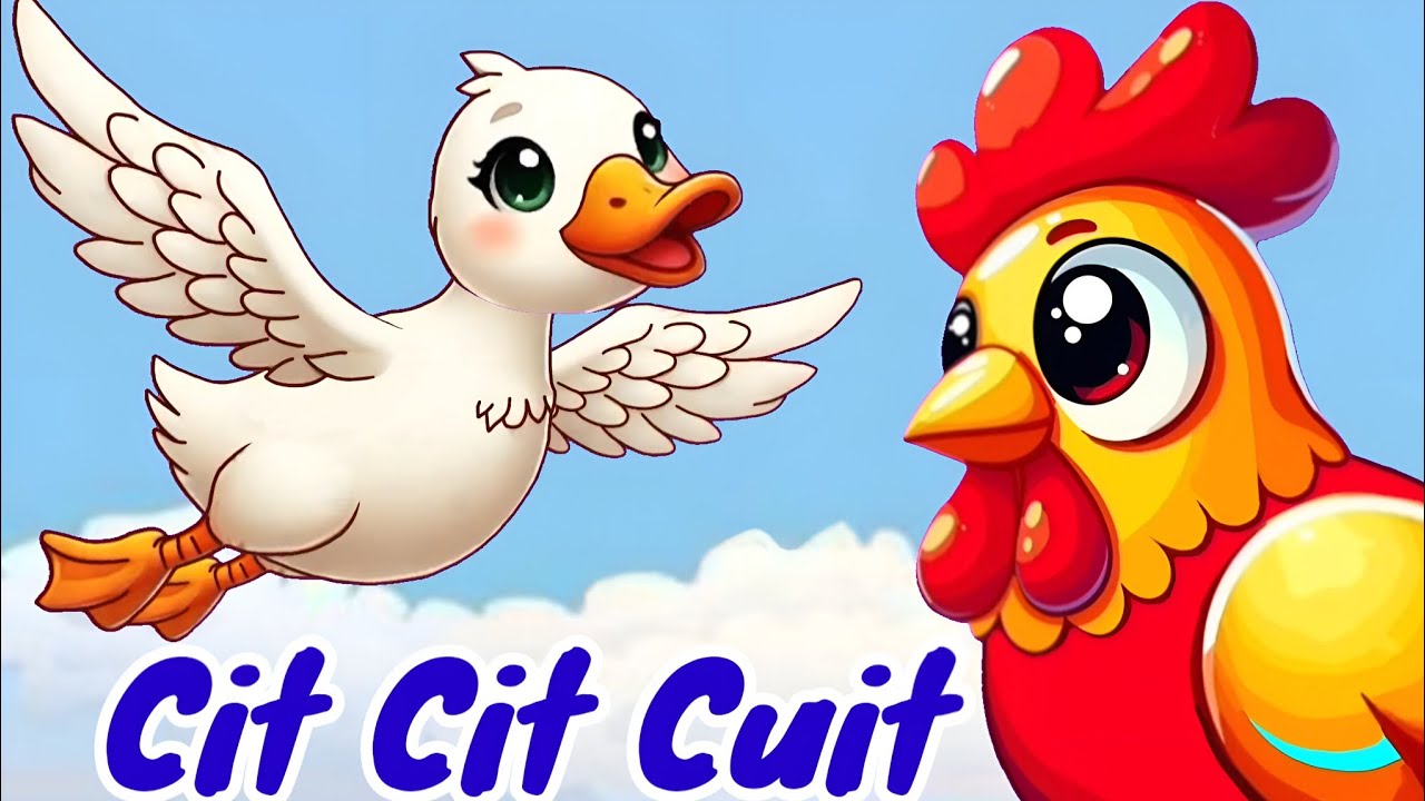 Cit Cit Cuit | Lagu Anak Anak | Lagu Anak Indonesia