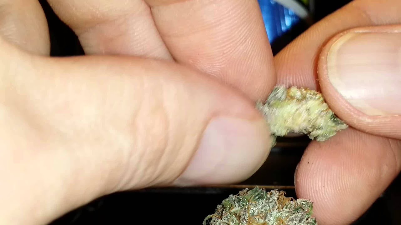 God's Gift Strain Review!