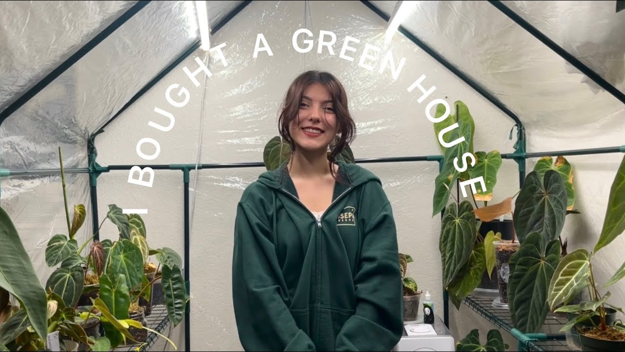 I BOUGHT A GREENHOUSE || Green house anthurium tour