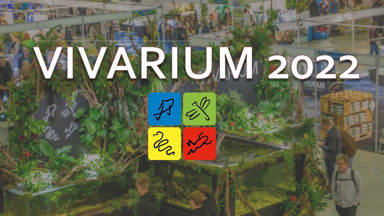 Vivarium Aftermovie 2022