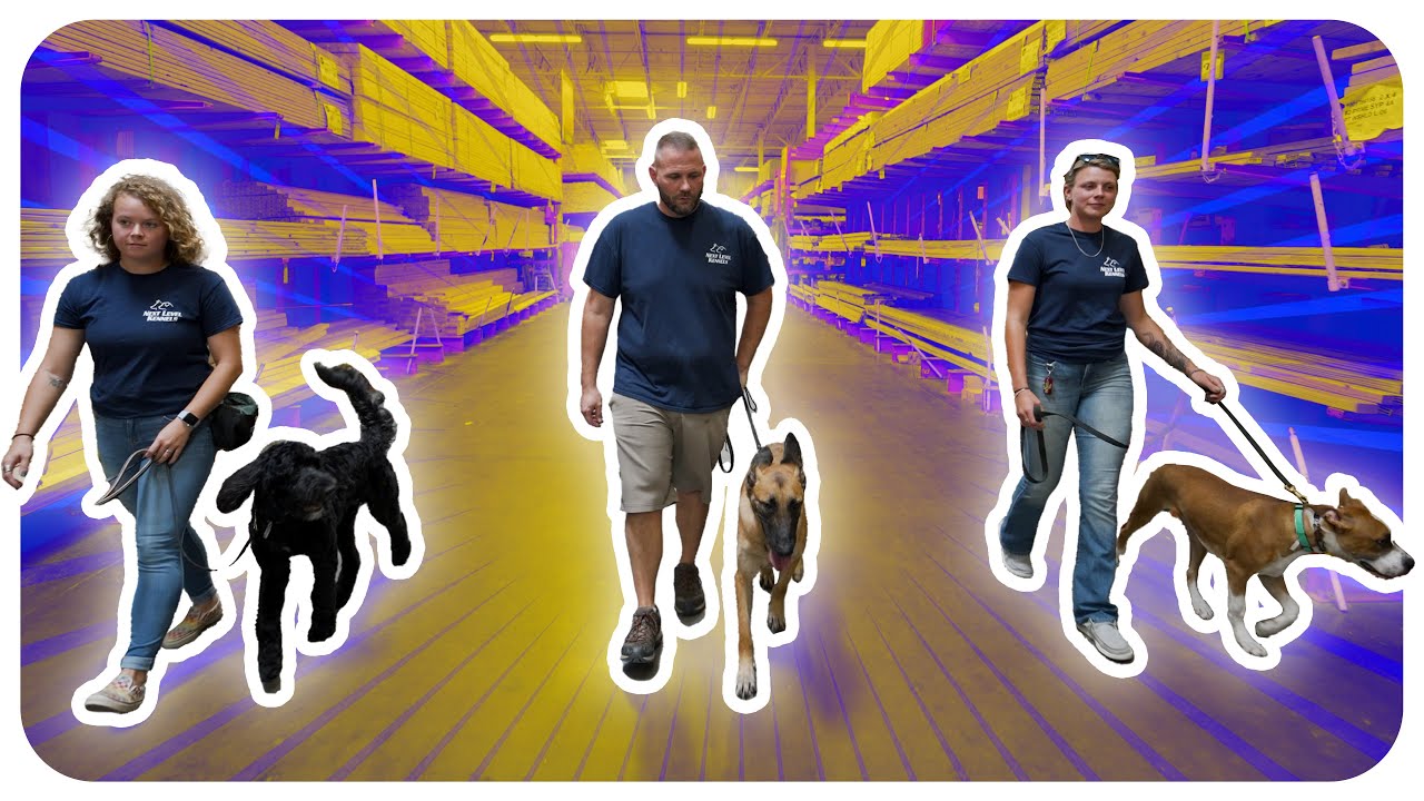 TRAINING Your Dog for the STORE!