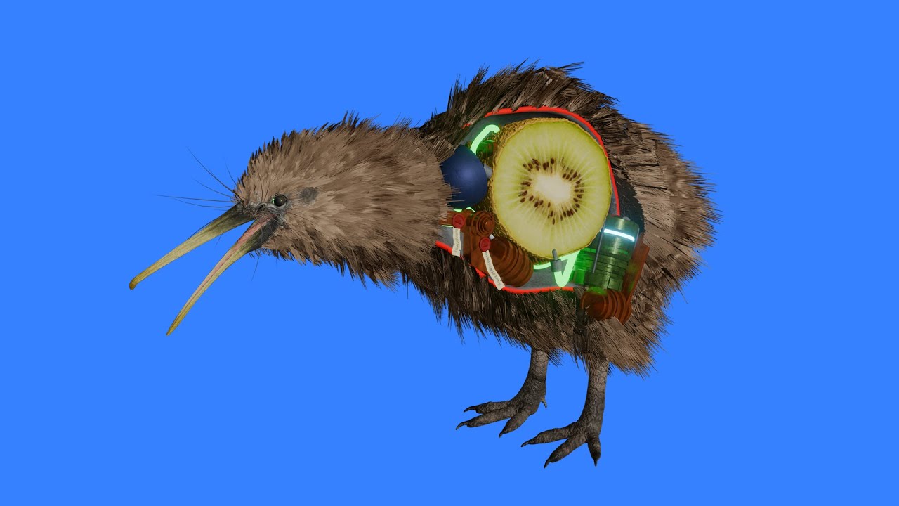 How a Kiwi works