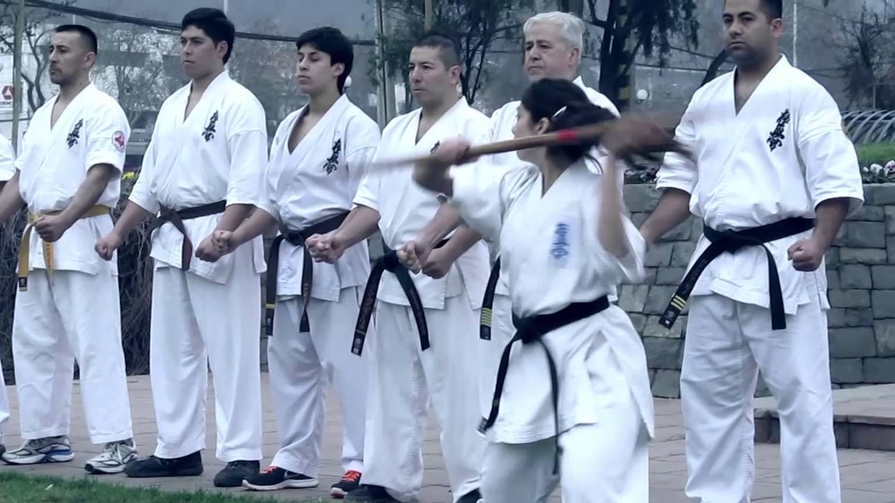 IKOK SOSAI CHILE Shihan Pedro Pino Ávila