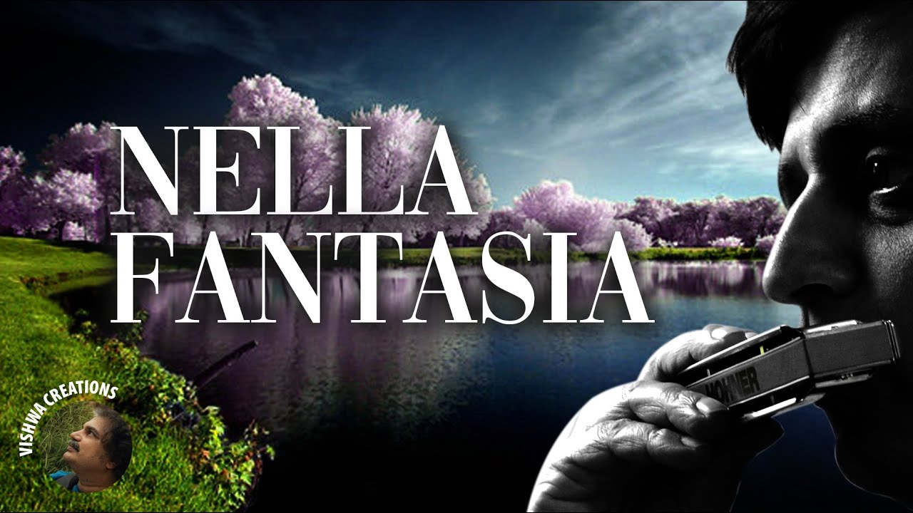 Nella Fantasia (Gabriel's oboe) Harmonica Cover: Anand Godbole