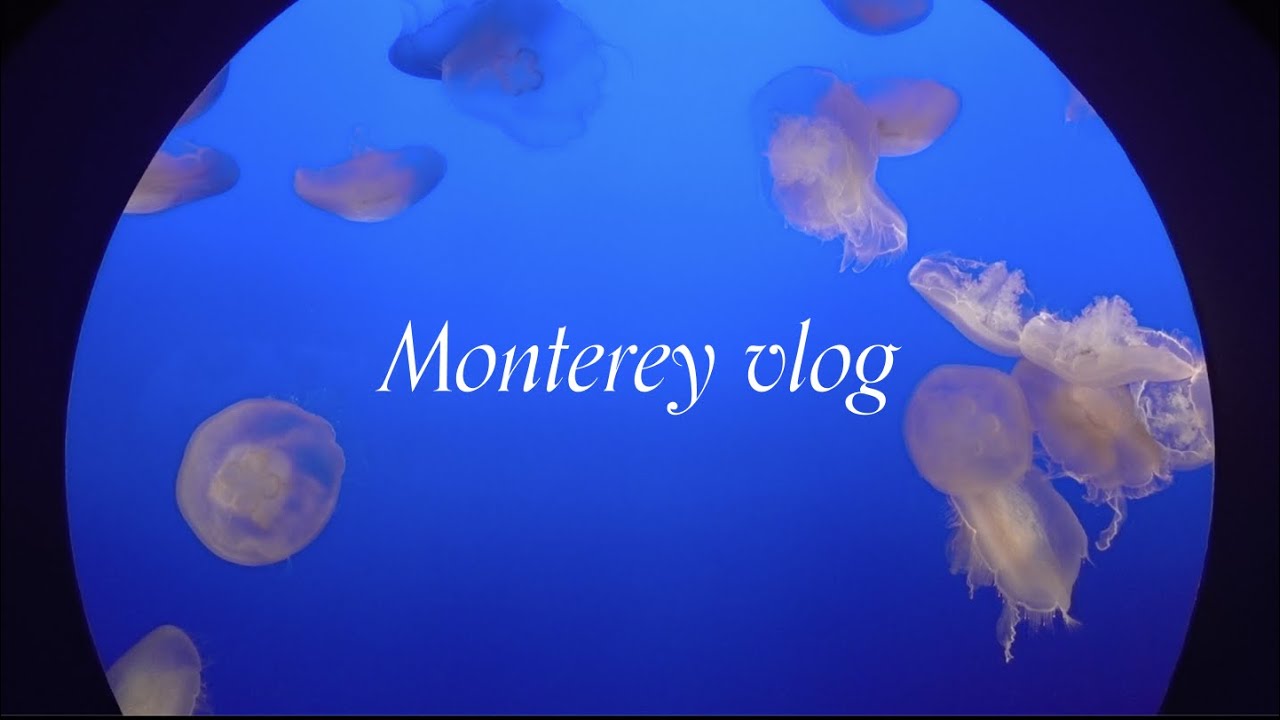 Monterey Vlog | Monterey Bay Aquarium, Capitola Beach, Verve Coffee