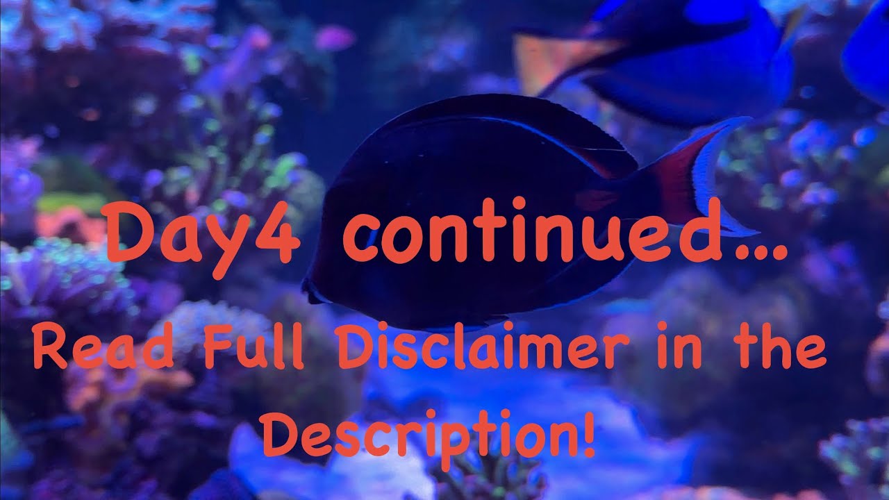 Day4(pt2) In Tank Treatment Post Activities!