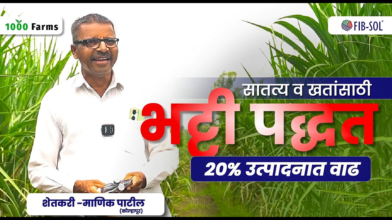 सातत्य व खतांसाठी भट्टी पद्धत- २०% उत्पादनात वाढ || 20% Yield Increase with FIB-SOL Biofertilizers