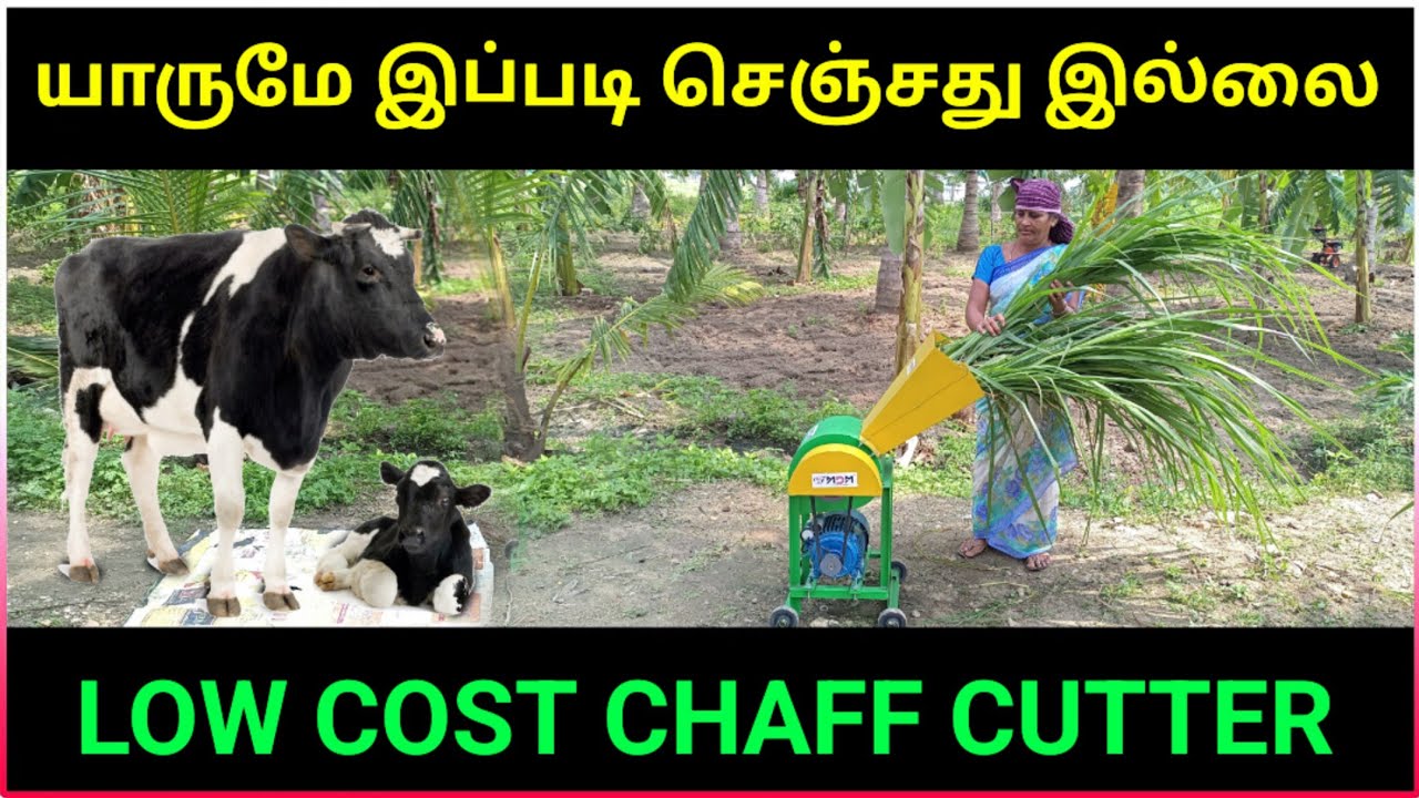 விலையை ஒடைக்கிறோம் Multi Purpose Chaff Cutter Machine | low cost chaff cutter machine | Namma MKG