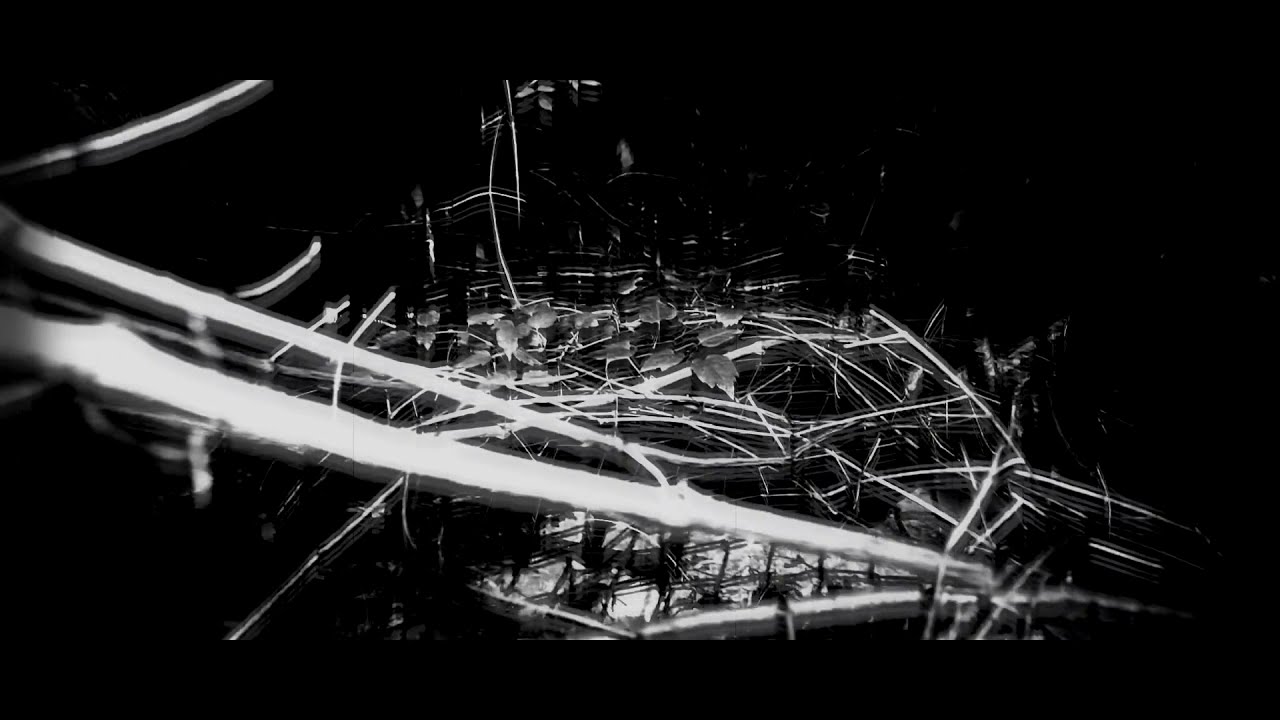 Eggvn - The Seven Words