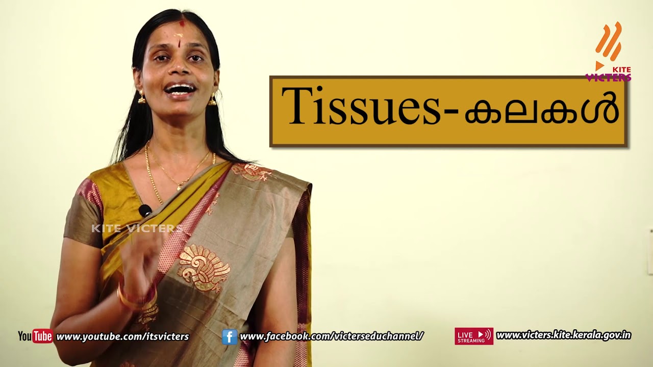 KITE VICTERS STD 8 Biology Class 4 (First Bell-ഫസ്റ്റ് ബെല്‍)