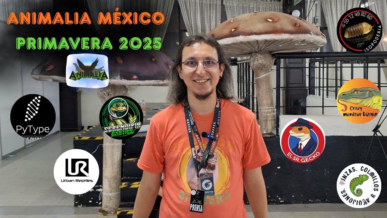 ANIMALIA MÉXICO PRIMAVERA 2025. La primera de varias este año. 😁