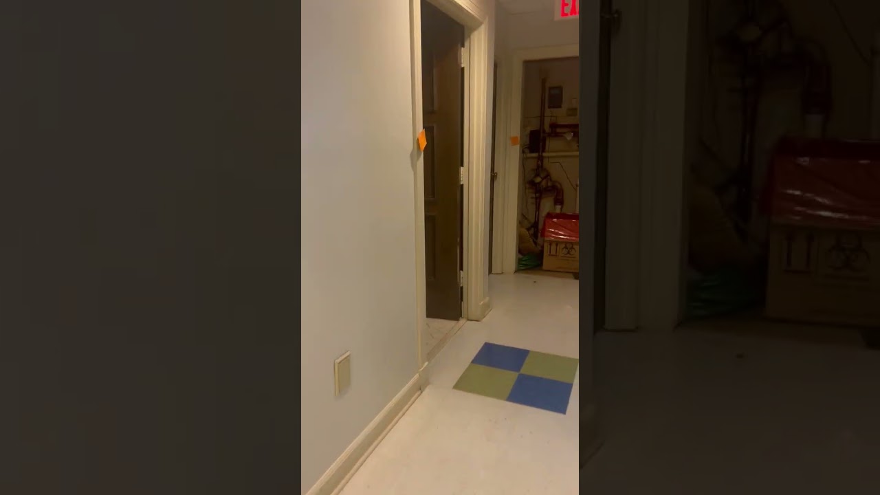 6238 Poplar Ave, Memphis TN - Video Walkthrough