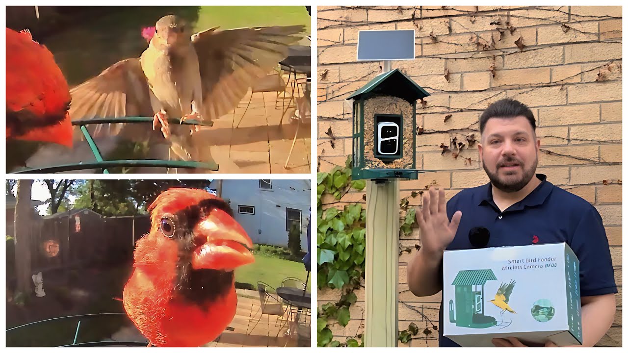 DIY Post Mount for the SOLIOM BF08 Bird Feeder Cam | Setup + First Bird Visitors!