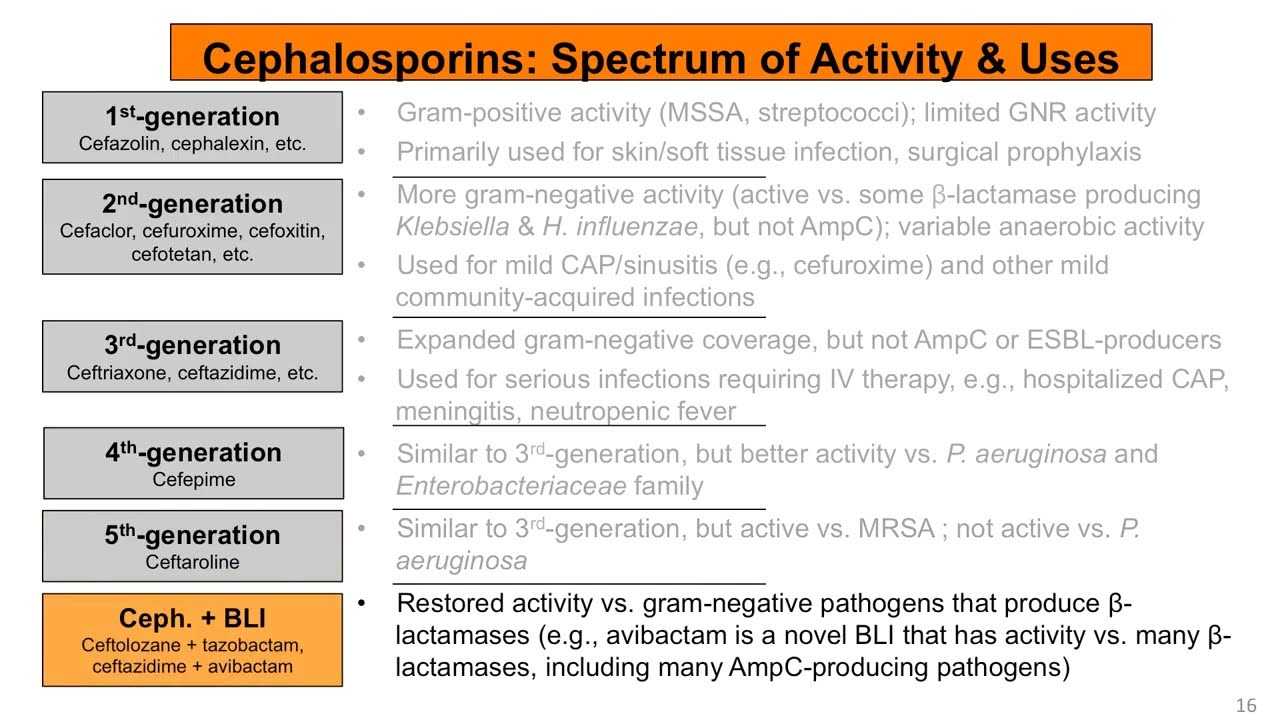 Intro to Bacteria & Antibiotics: Beta Lactams Pt  2