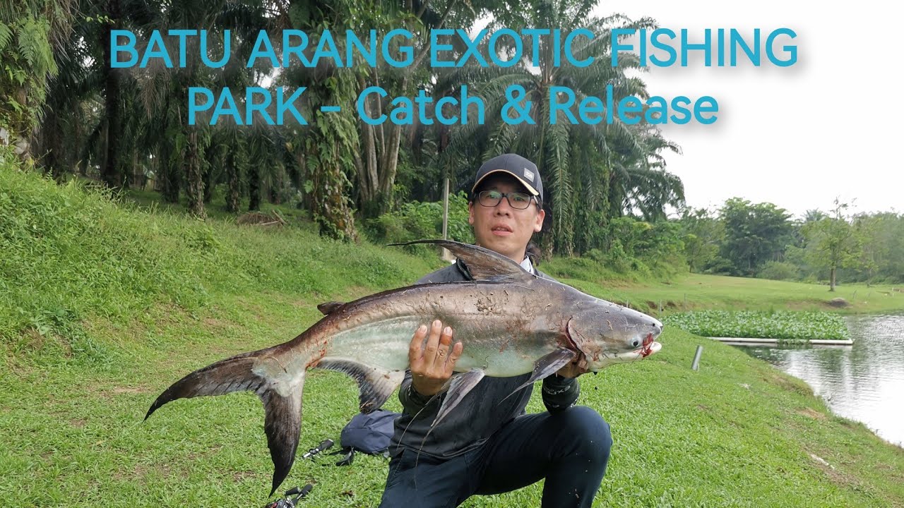 Casting at Batu Arang Exotic Fishing Park