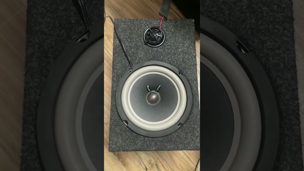 Bose 6.5 