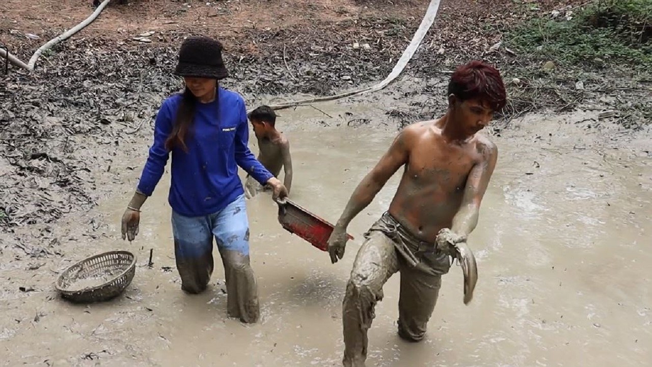 Catching Fish by Hand After Draining Water | Village Mud Fishing Adventure