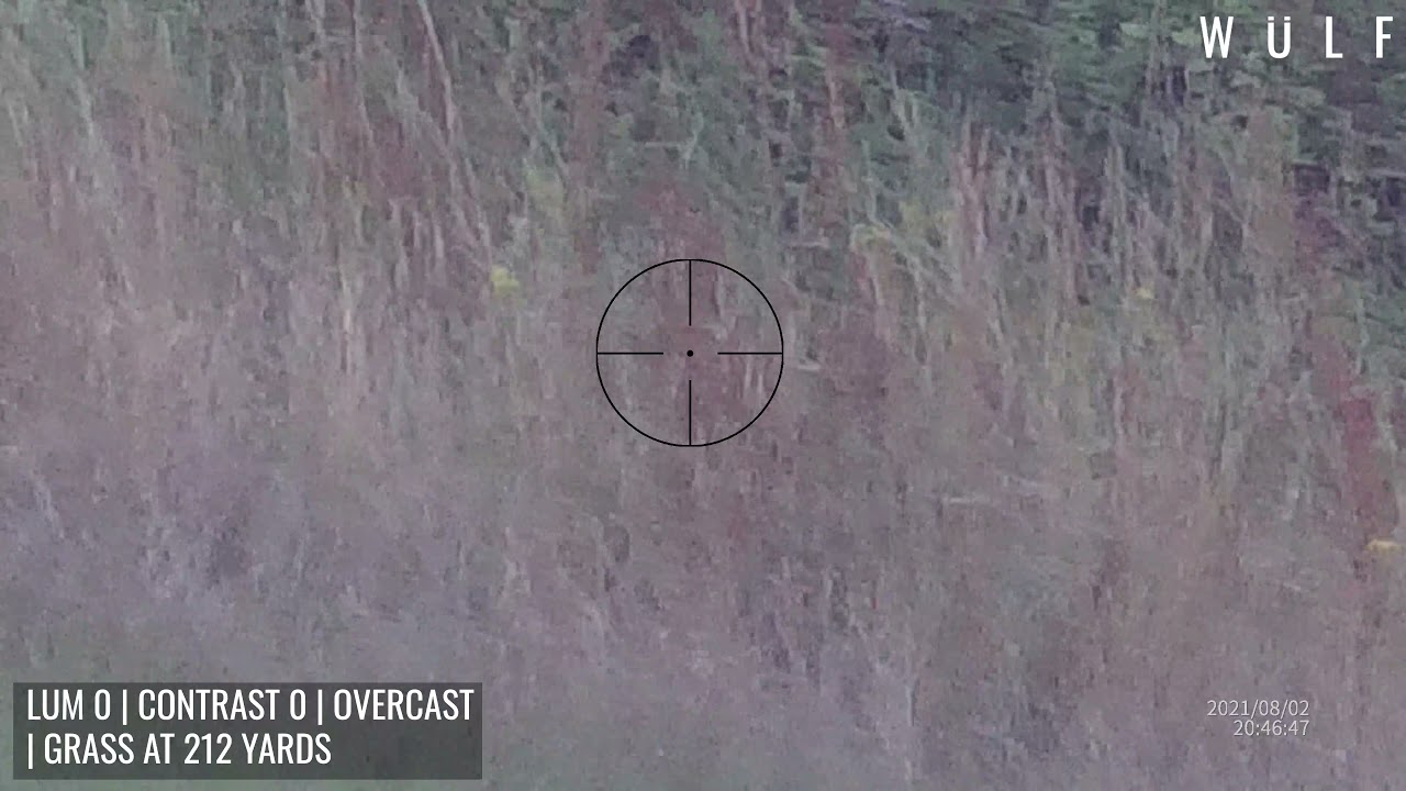 WULF 4K Day & Night Vision Rifle Scope | Contrast Test & Last Light Footage