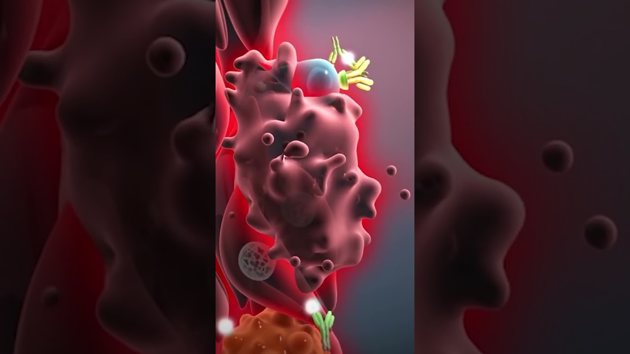 Difference between osteoarthritis and rheumatoid arthritis in hindi | Horizon Hospital