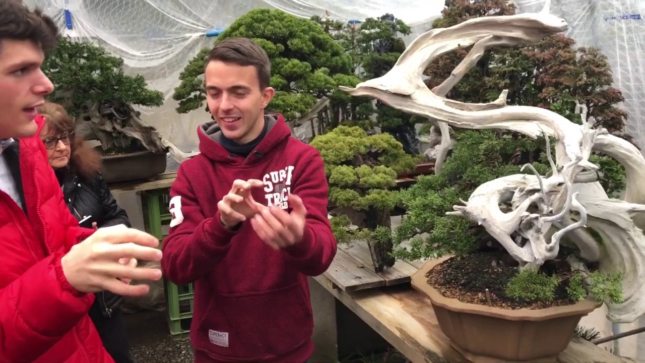 BonsaiTour 2020 master Masahiko Kimura bonsai garden.