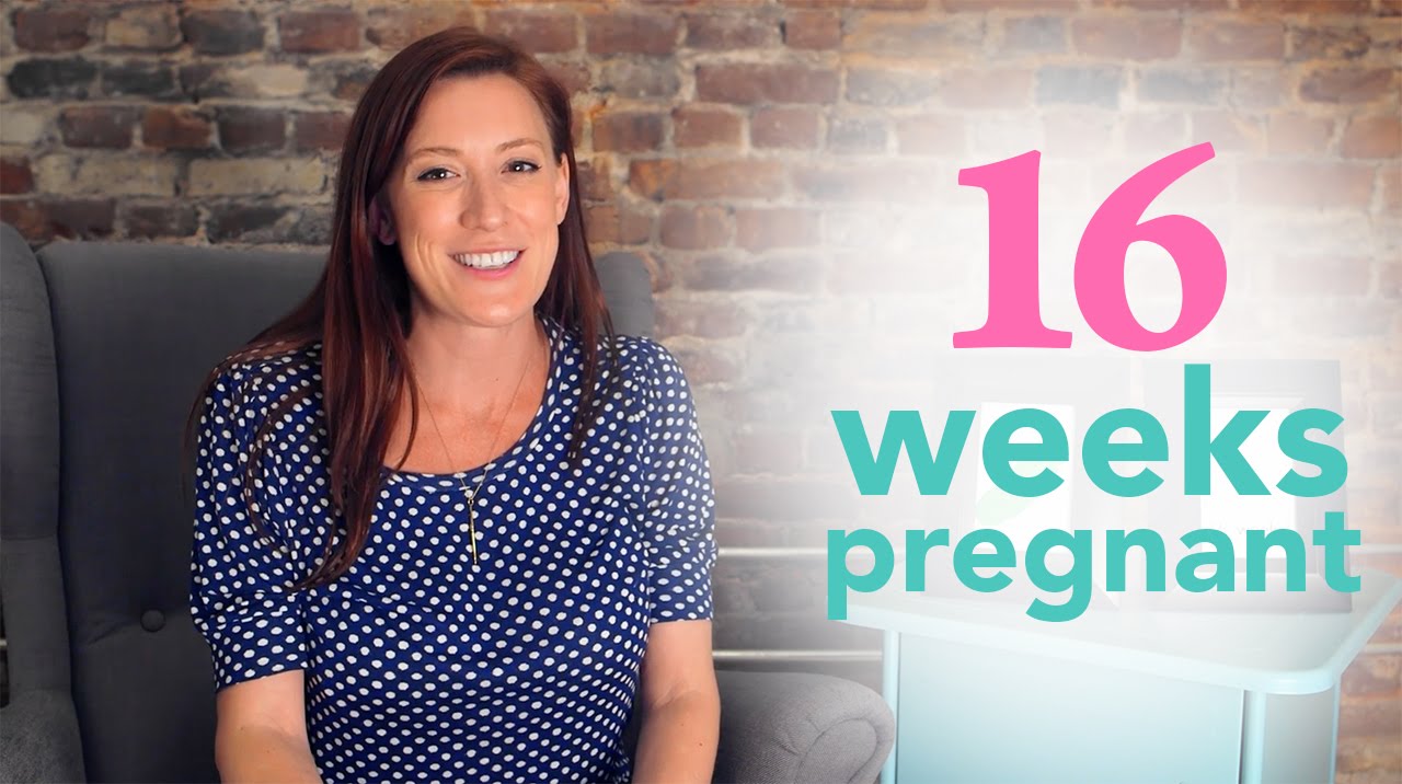 16 Weeks Pregnant - Ovia Pregnancy