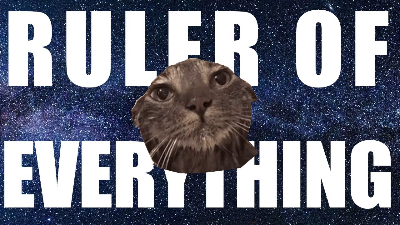 Tally Hall - Ruler of Everything | The Cat Edition