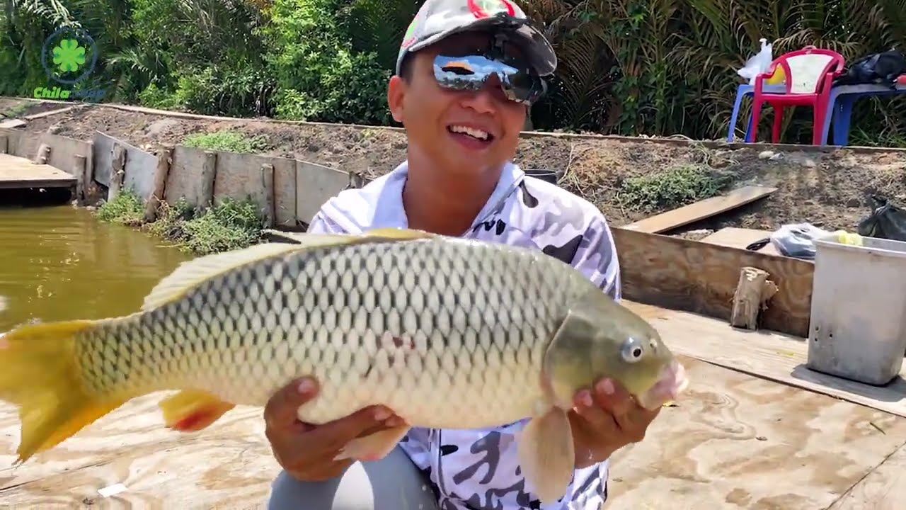 CÂU CÁ CHÉP DƯỚI TRỜI MƯA BÃO | KHI THẦN MƯA TRỞ LẠI