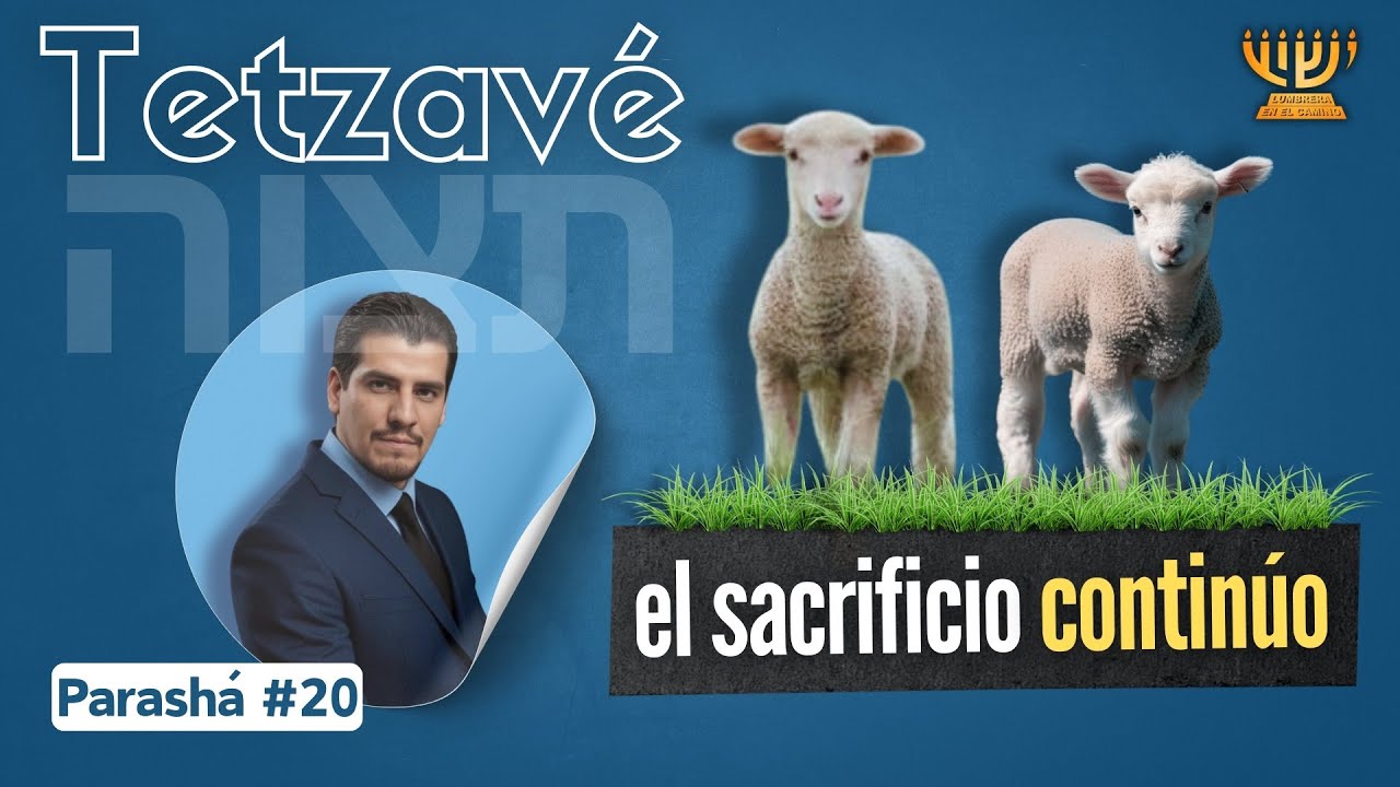 El Sacrificio Continúo (KORBAN TAMID) |  Parashat TETZAVÉ