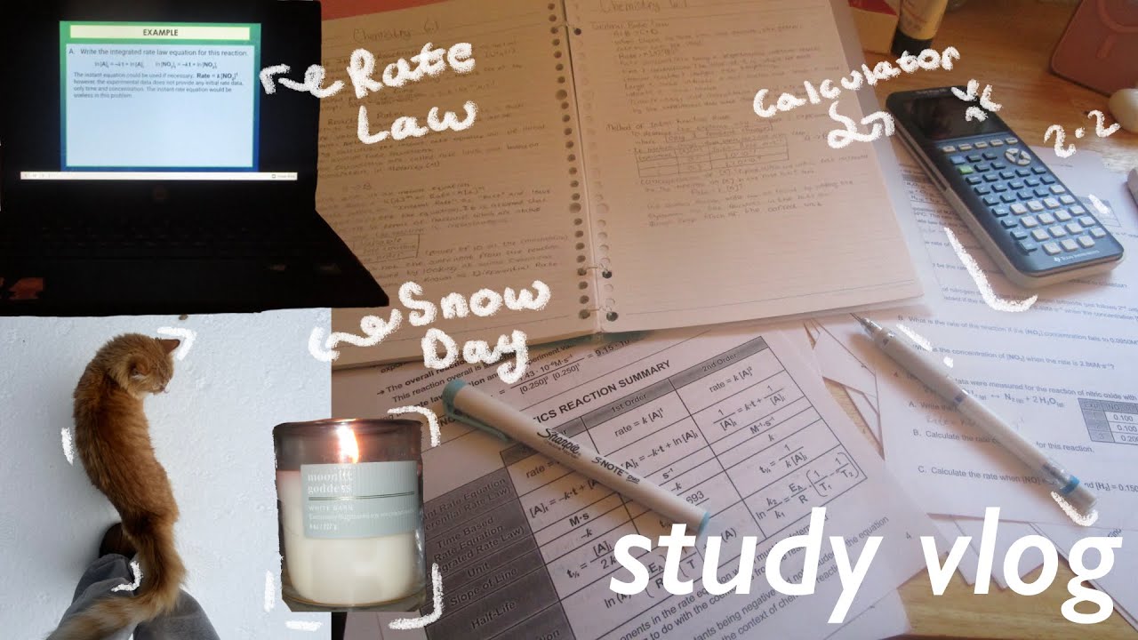 Study Vlog | snow day | junior in high school | 5 ap classes 