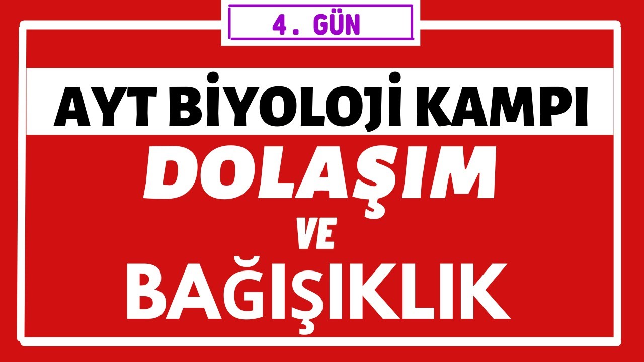 Dolaşım ve Bağışıklık Sistemi | AYT BİYOLOJİ KAMPI | 4.gün |