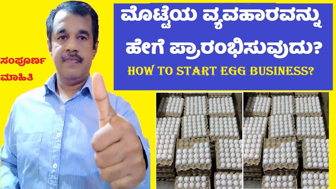 how to start egg business in kannada | distribution business | egg wholesale business | SuccessLoka