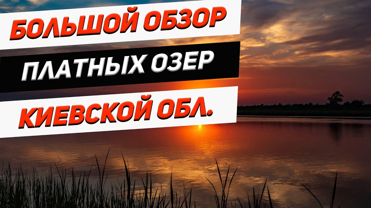 Обзор платных озер Киевской области | Где ловить рыбу ?