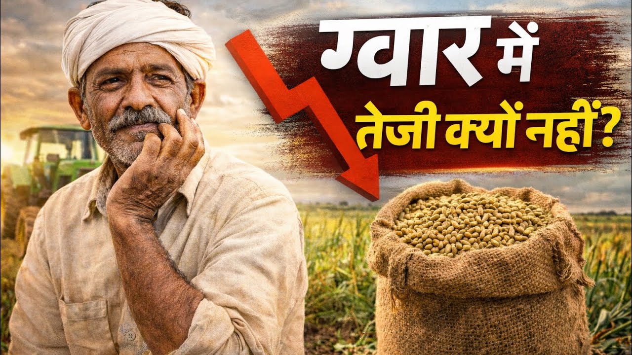 ग्वार के भाव क्यों नहीं बढ़ रहे? | असली वजह सामने