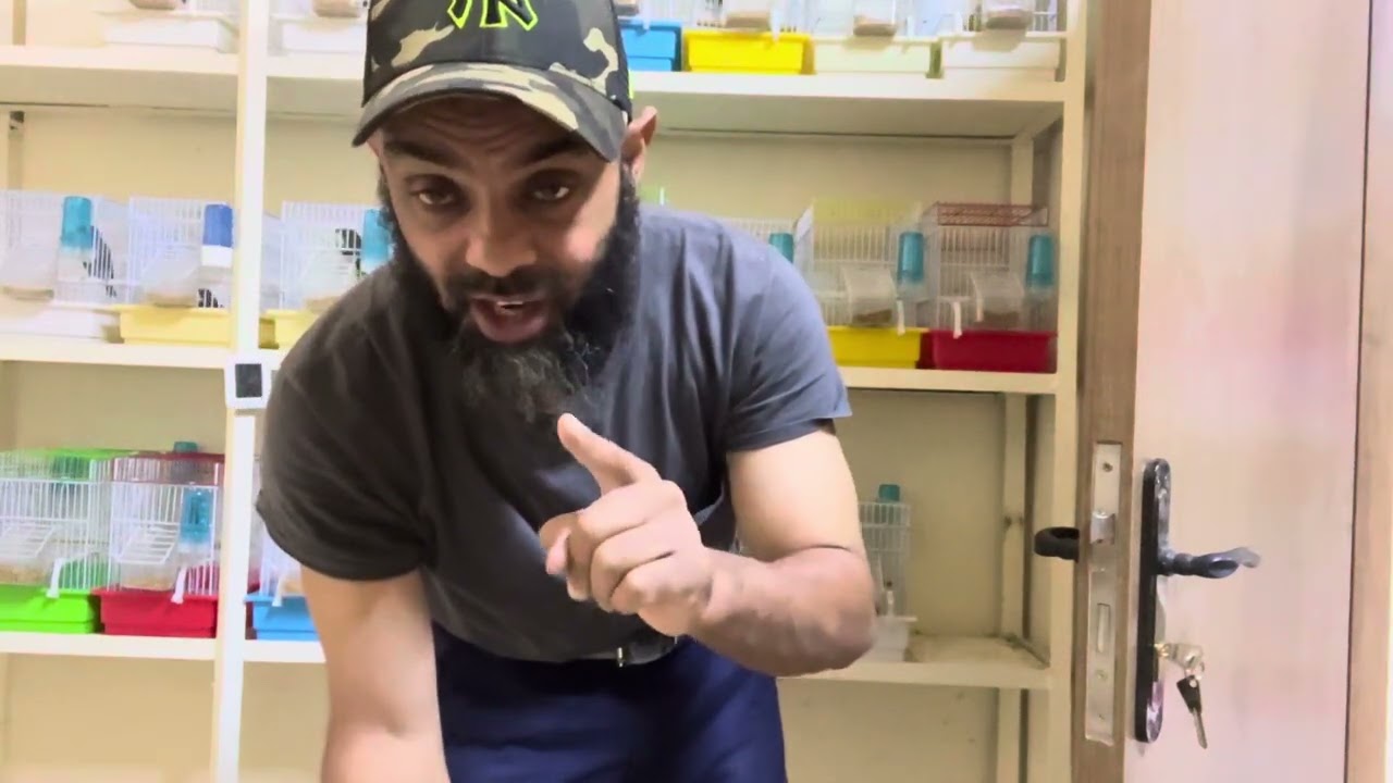 وضع نقطة افرمكتين للطيور #ivomec#birds