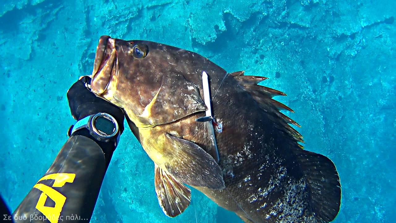 ΨΑΡΟΤΟΥΦΕΚΟ ΣΤΗΝ ΚΥΘΝΟ