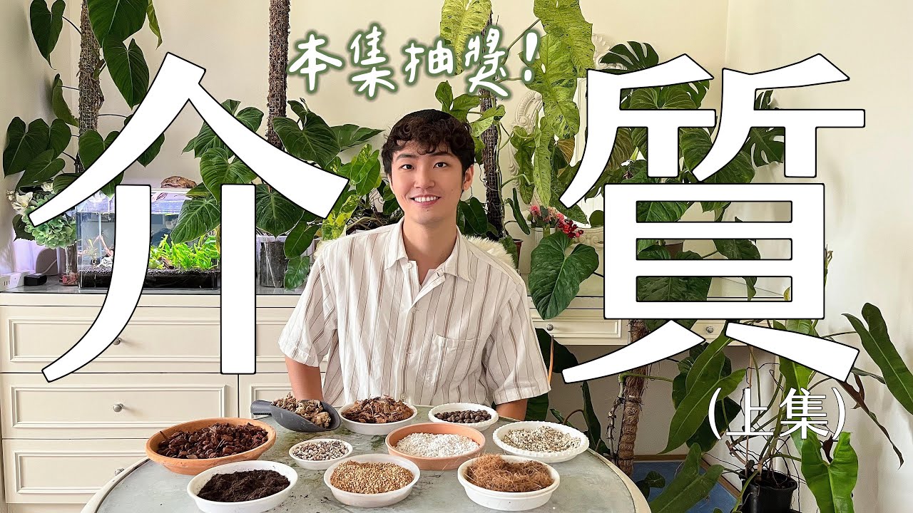 手把手帶你認識植物介質(上)｜內有抽獎｜歡慶滿1000訂閱！成為室內植物綠手指必看｜新手系列
