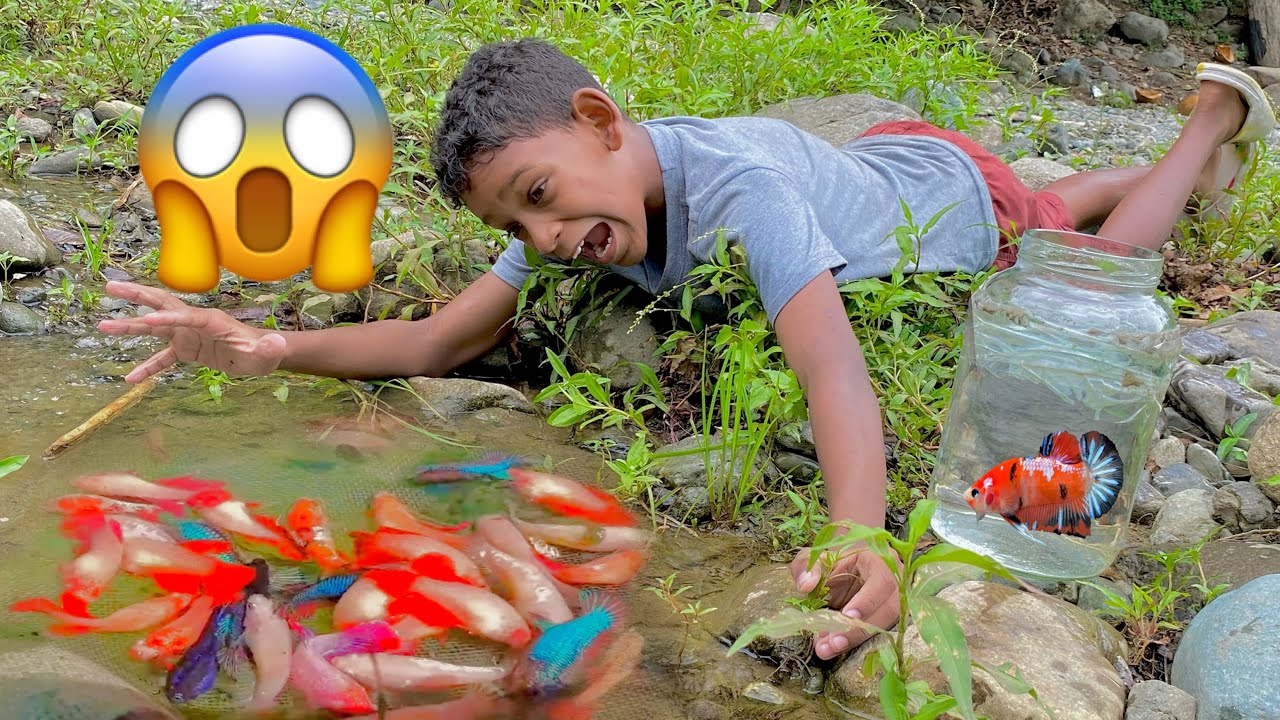 EL NIÑO BETERO 🐟🫧 *LA MEJOR PELICULA*